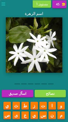 احزر الصورة Guess the picture - Screenshot 4