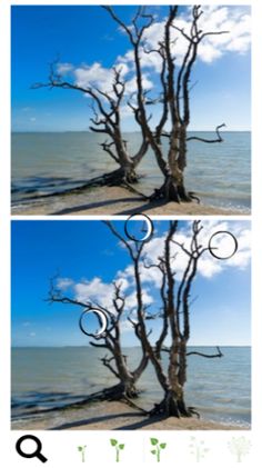 Spot a Difference Trees - Screenshot 3