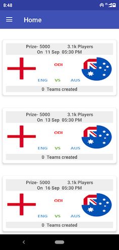 mCricki11 - Screenshot 2