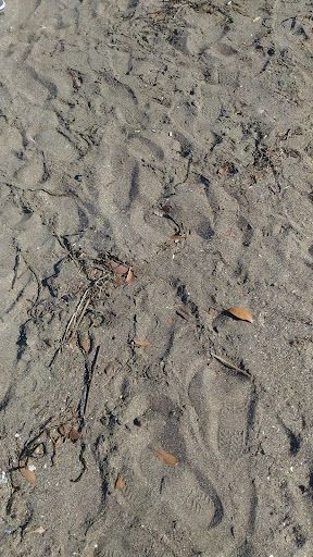 Light Sword - Screenshot 2