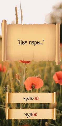 Как правильно? - Screenshot 3