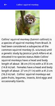 Animal Kingdom : Brazil (Quiz/ - Screenshot 5