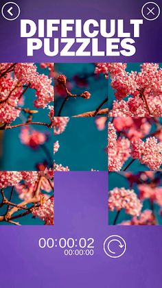 Difficult Puzzles - Screenshot 2