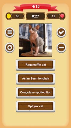 Cats Quiz - Screenshot 2