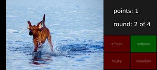 Dog Quiz - guess the breed - Screenshot 2