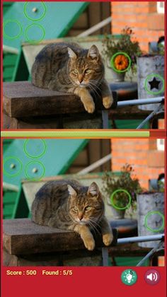 Find Differences - Cats and Do - Screenshot 2
