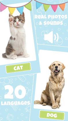 Baby’s First Words - Screenshot 3