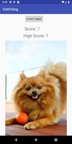 Cat or Dog Game - Screenshot 3