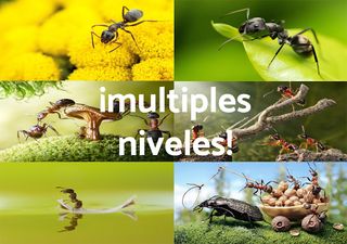 Puzzle Caracoles 🧩🐌 - Screenshot 1