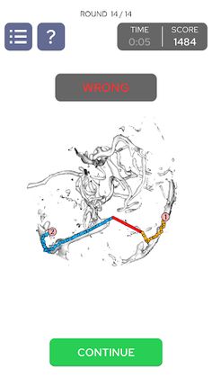 Connect Brain - Screenshot 4