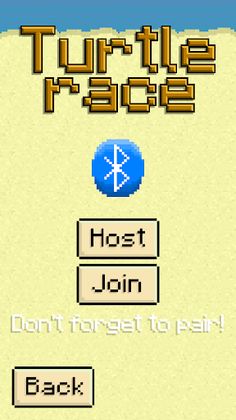 Turtle Race - Screenshot 2