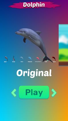 Animal Meme Simulator Dolphin - Screenshot 1