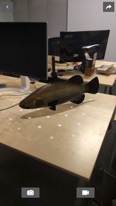 AR Viewer - Screenshot 1