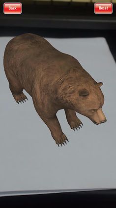 Bold AR - Screenshot 2