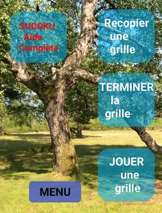 Limoges Enl Sudoku - Screenshot 2