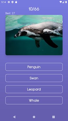 Animal Quiz - Screenshot 2