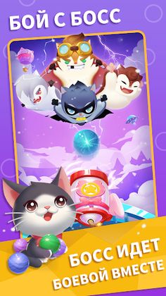 Пет Мастер: веселая игра с пет - Screenshot 4