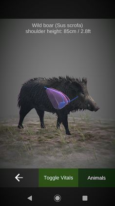 HuntingSim - Screenshot 2