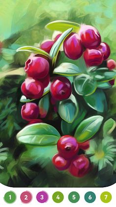 Fruit Coloring Book for Adults - Screenshot 3