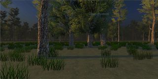 CycloFit: Forest - Screenshot 1