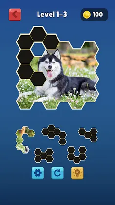 Hexa Jigsaw Collection HD - Screenshot 1