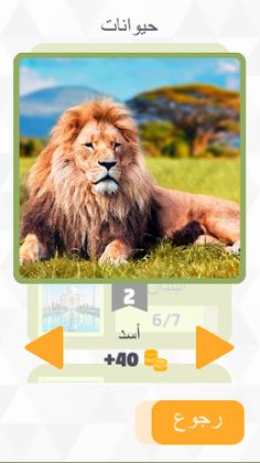 Discover Image - Screenshot 3