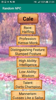 Random NPC Generator - Screenshot 3