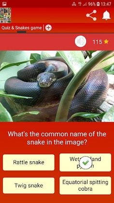 QuizzLand. Quiz & Snakes game - Screenshot 4