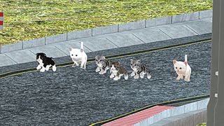 Cute Cat Racing World Cup - Screenshot 1