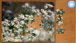 Simple Jigsaw Puzzle - Screenshot 1