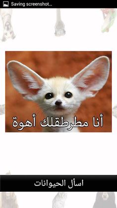 اسأل الحيوانات المُضحكة - Screenshot 2