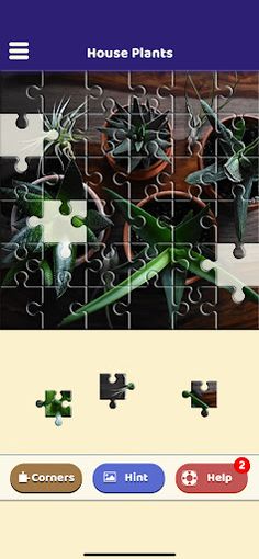 House Plants Puzzle - Screenshot 4