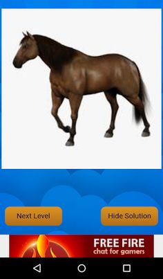 Puzzle 1 - Screenshot 2