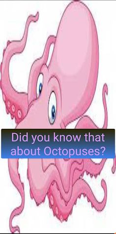 interesting facts - Screenshot 3