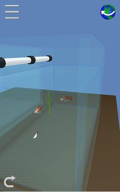 My Guppy - Screenshot 4