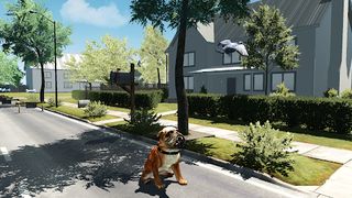 Bull Dog Simulator - Screenshot 1