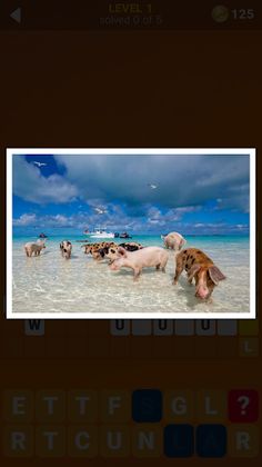 155 Photo Crosswords - Screenshot 2