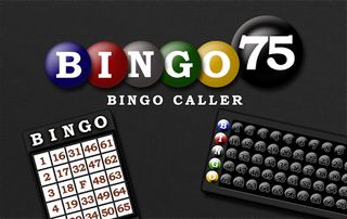 Bingo 75 - Screenshot 3