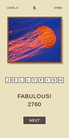 Scratch and Find - Screenshot 4