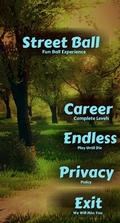 Street Ball 3D - Screenshot 1