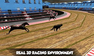 Crazy Real Dog Race: Greyhound - Screenshot 2