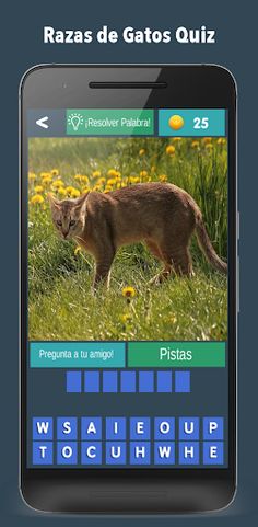 Razas de Gatos Quiz 2021 - Screenshot 4