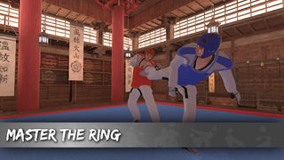 True Taekwondo - Screenshot 1