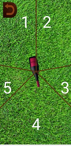 Spin the bottle - Screenshot 3