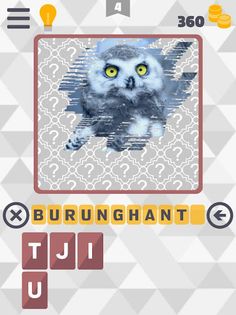 Tebak Gambar Hewan - Screenshot 4