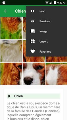 Dogs Puzzle - Screenshot 4