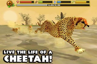 Cheetah Simulator - Screenshot 2