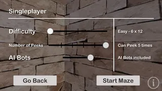 Maze Race Challenge - Screenshot 2