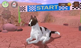 Greman Shorthaired Pointer - Screenshot 1