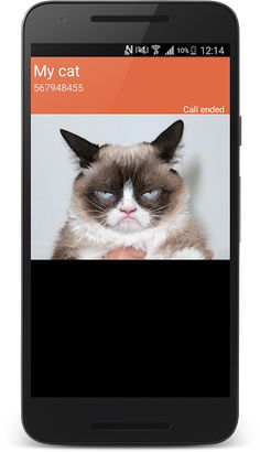 Fake phone call - Screenshot 2